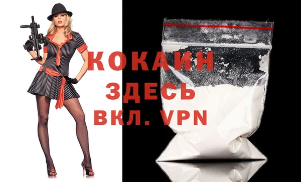 МДПВ Лиски