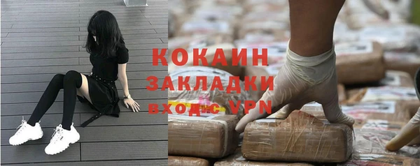 шишки Лихославль