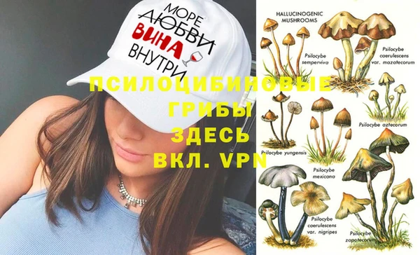 шишки Лихославль