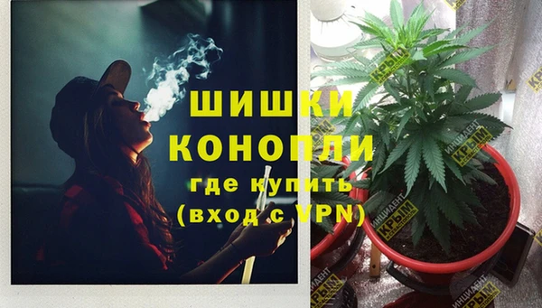 МДПВ Лиски