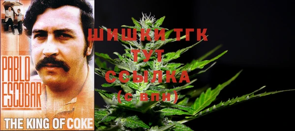 шишки Лихославль