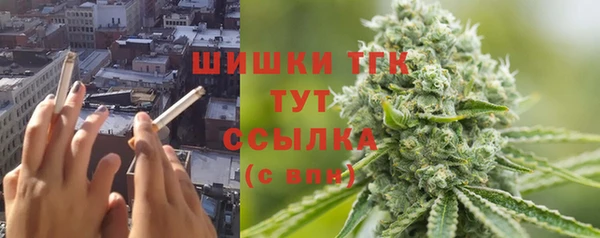 МДПВ Лиски