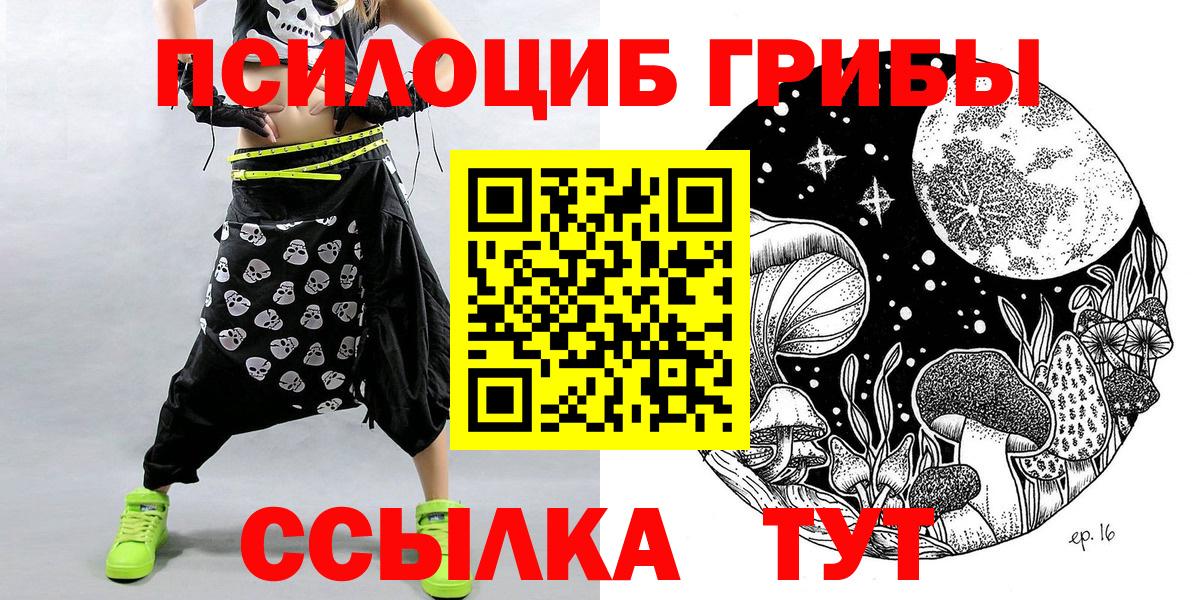 Моршанск  наркотики  Галлюциногенные грибы MAGIC MUSHROOMS  Вход с VPN  Псилоцибиновые грибы Psilocybine cubensis 